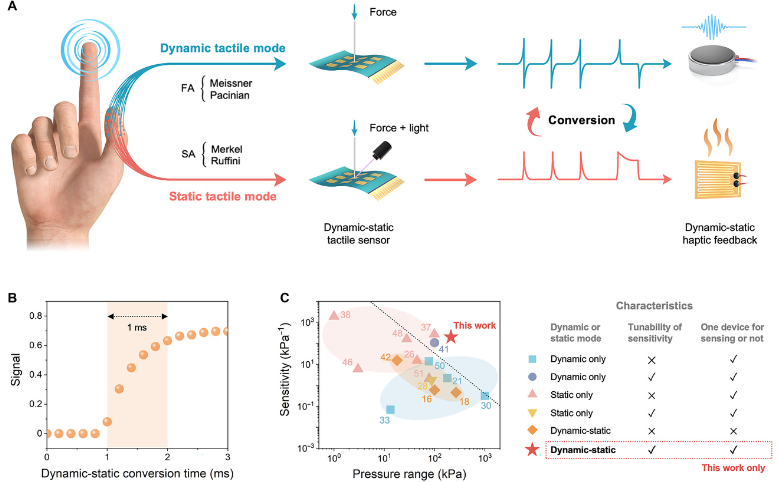 La Peau 2.0 : Ce capteur révolutionnaire change de nature avec la lumière